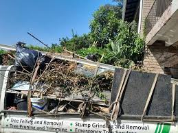 Recycling Services for Junk in Dixon, IL